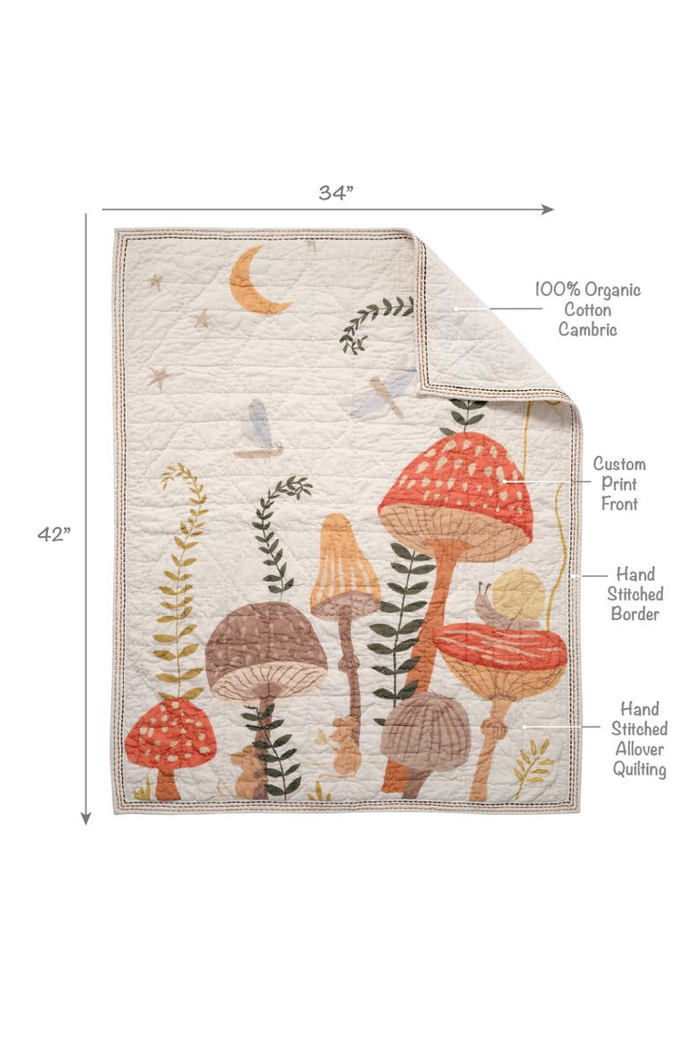 Mushroom Meadow 3-Piece Organic Cotton Infant Baby Crib Bedding Set, Alternate, color, Multicolor