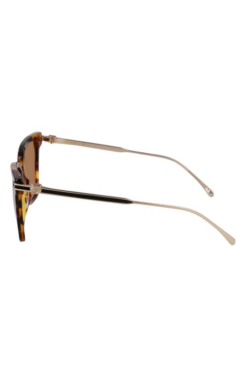 Ferragamo Gancini 56mm Butterfly Sunglasses In Dark Tortoise