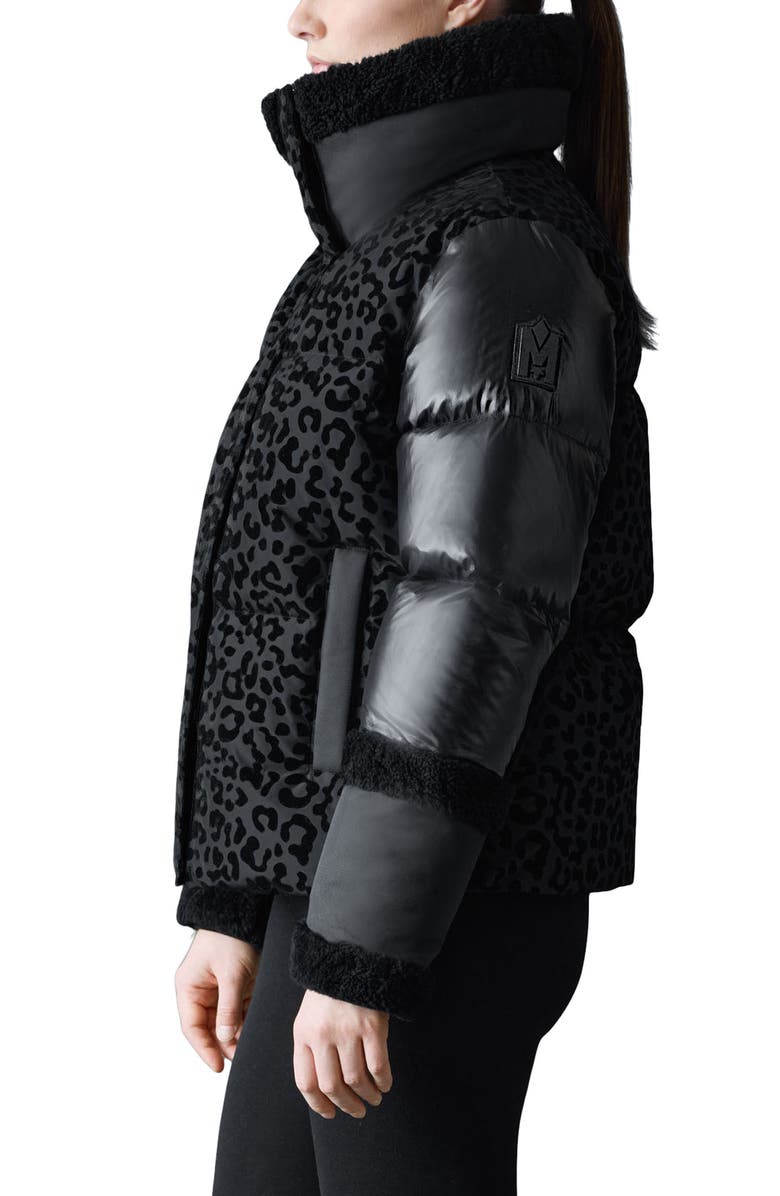 Mackage Lydana Leopard Pattern Down Jacket with Genuine Shearling Trim and Removable Bib, Alternate, color, Black-Black