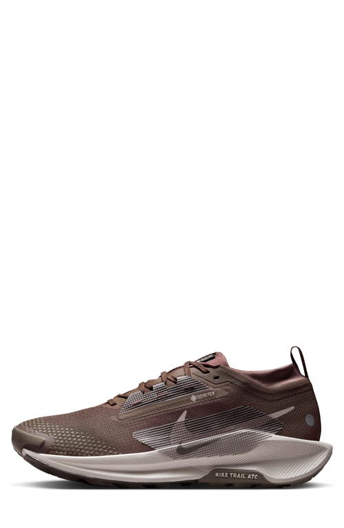 Nike Pegasus Trail 5 Gore-tex® Waterproof Running Shoe In Multi
