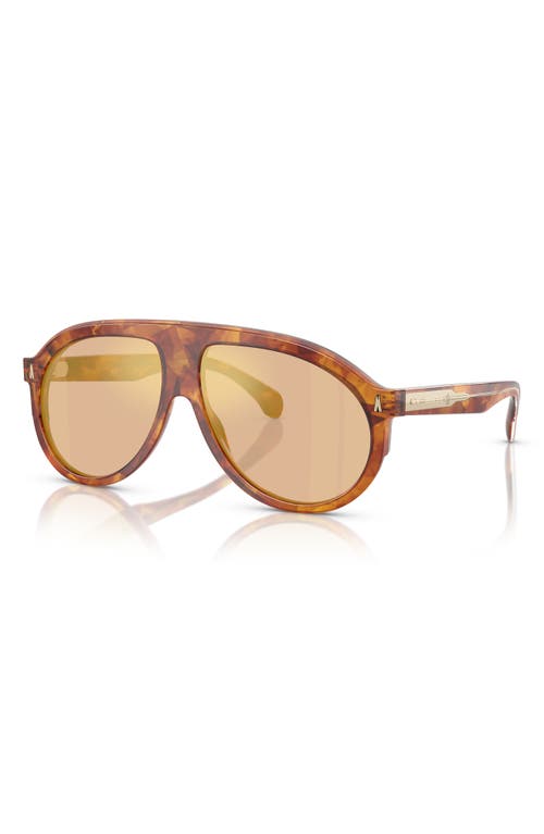 Moncler Unisex Sunglasses Me6001 Fhaite In Tortoise
