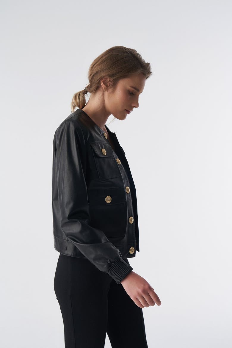 Beatrice Leather Jacket, Alternate, color, Black