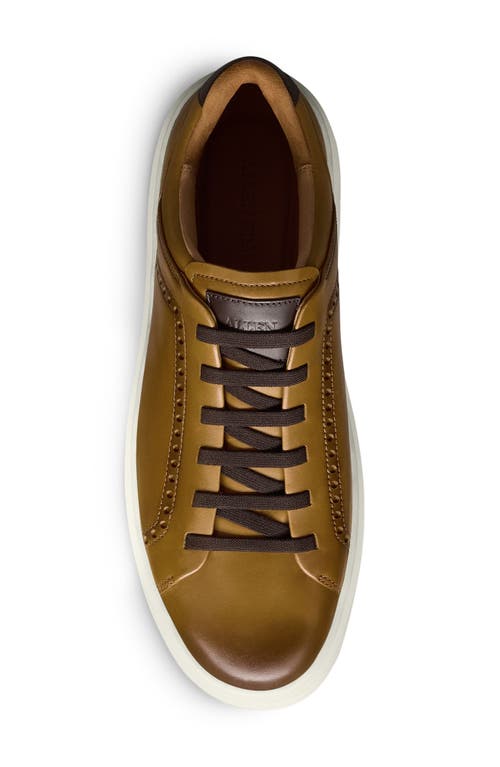 Allen Edmonds Oliver Brogue Sneaker In Walnut