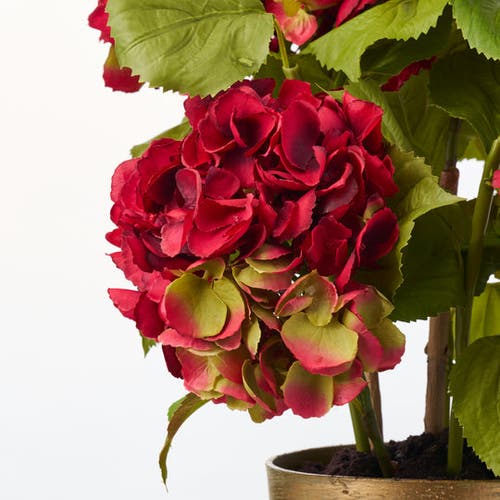 Darby Creek Trading Potted Red Silk Hydrangea Stems Flowering Multi-bloom Plant In Red