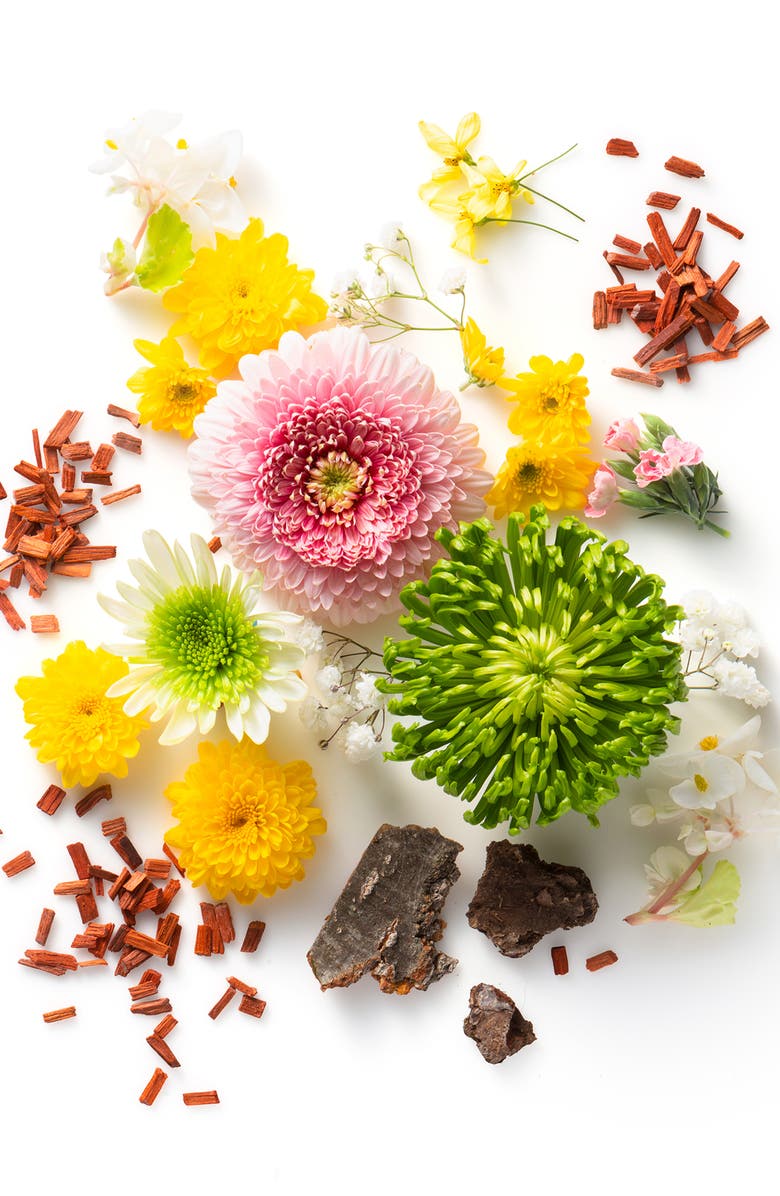 Sam Edelman Signature Eau de Parfum, Alternate, color, 