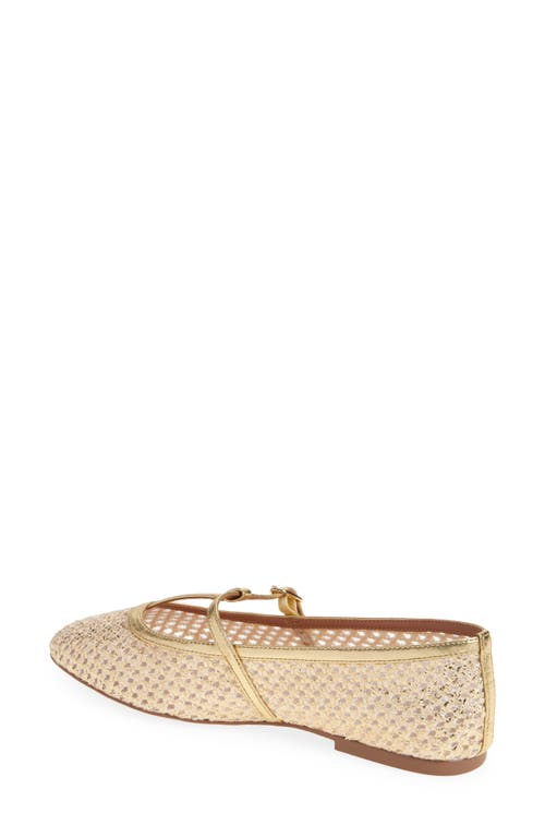 Linea Paolo Lilith Ankle Strap Sandal In Gold