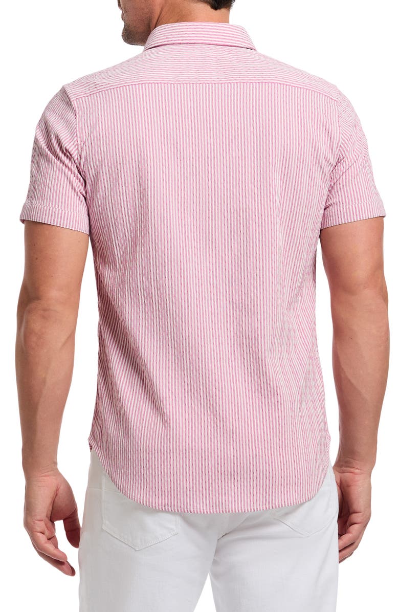 Robert Graham Fornillo Classic Fit Stripe Short Sleeve Button-Up Shirt, Alternate, color, Berry