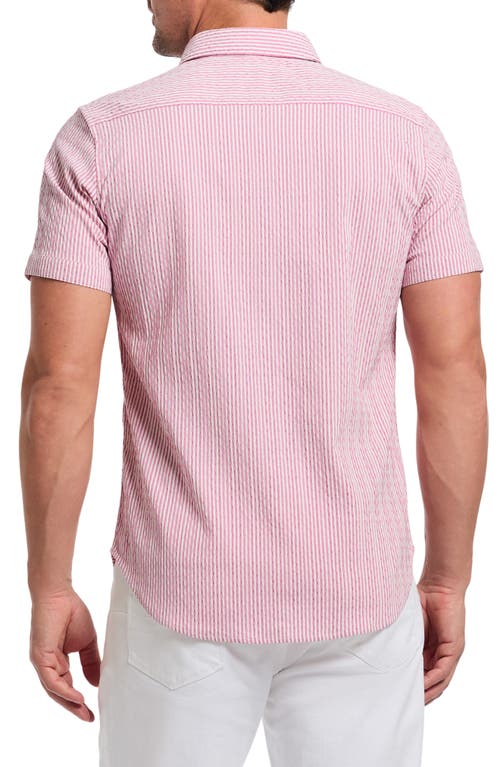 Shop Robert Graham Fornillo Classic Fit Stripe Short Sleeve Button-up Shirt
