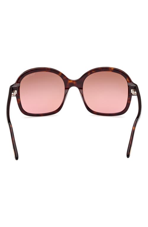 Tom Ford Hanley Brown Butterfly Ladies Sunglasses Ft1034 52f 57 In Brown