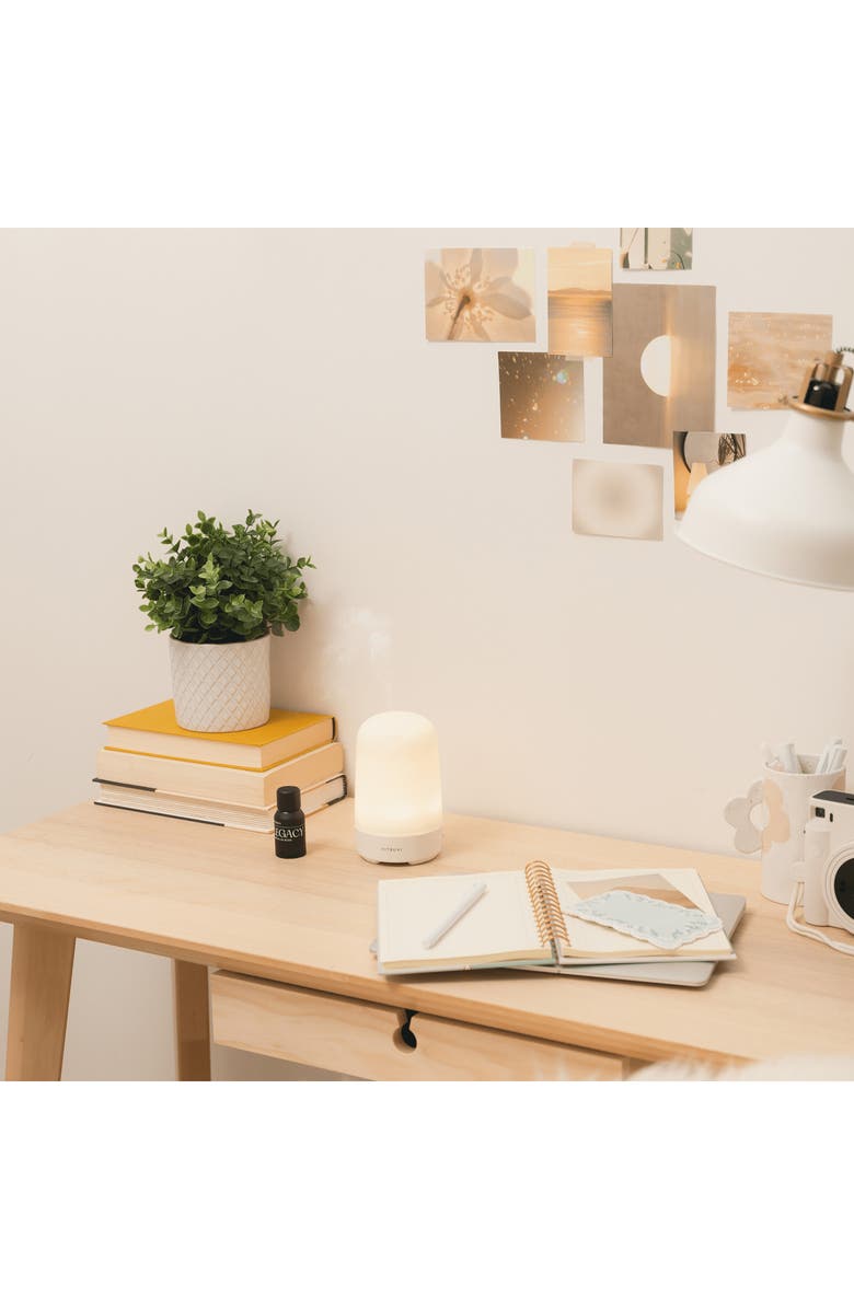 Vitruvi Glow Essential Oil Diffuser Bundle Set $100 Value, Alternate, color, 