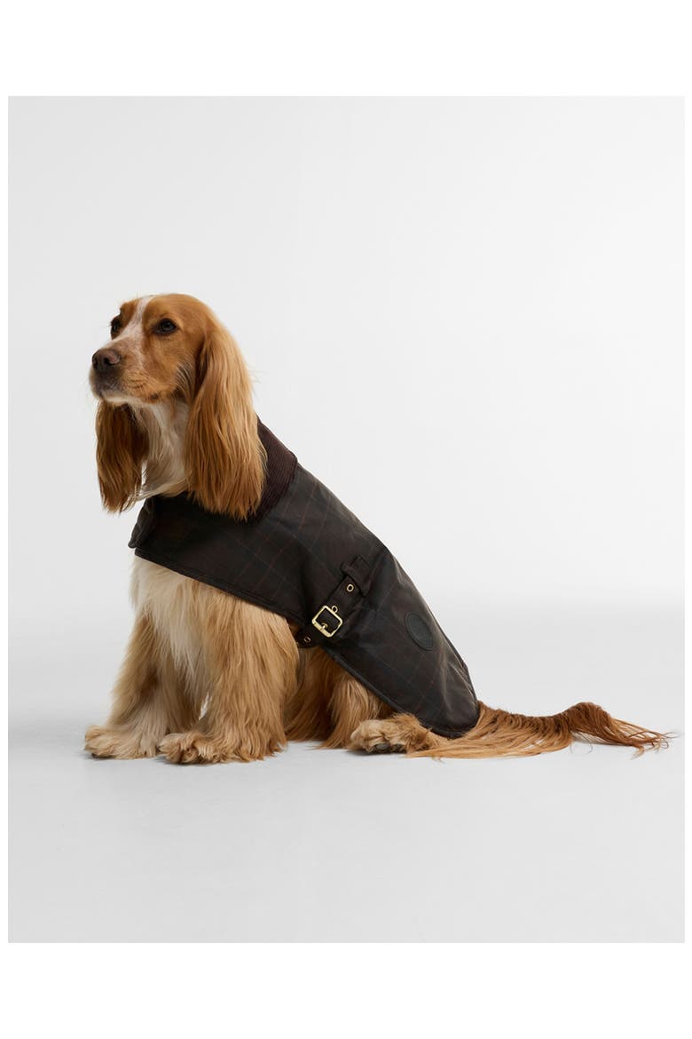 Waxed Cotton Dog Coat, Alternate, color, MUTED TARTAN