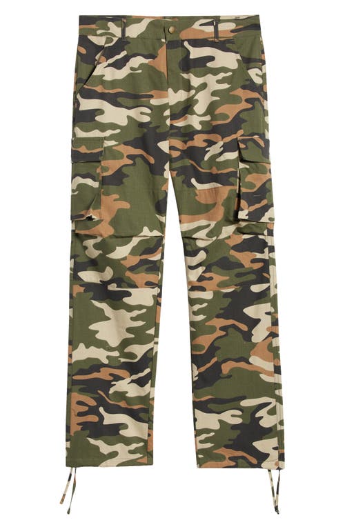 Cat Wwr Cotton Ripstop Cargo Pants In Multi