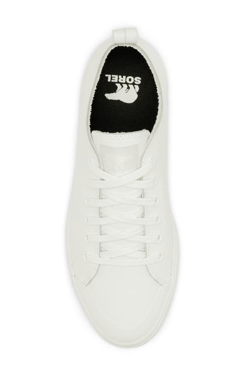Sorel Metro™ Ii Waterproof Sneaker In Sea Salt/sea Salt