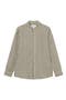  Olive Night/ Ivory
