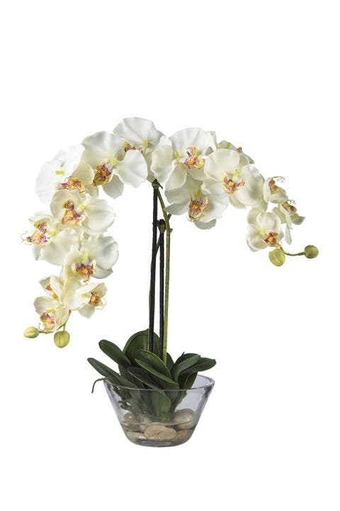 18-in Phalaenopsis with Glass Vase Artificial Flower Arrangement