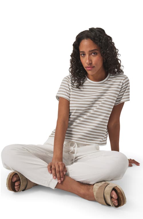 Splendid Louisa Stripe T-shirt In Fawn Stripe