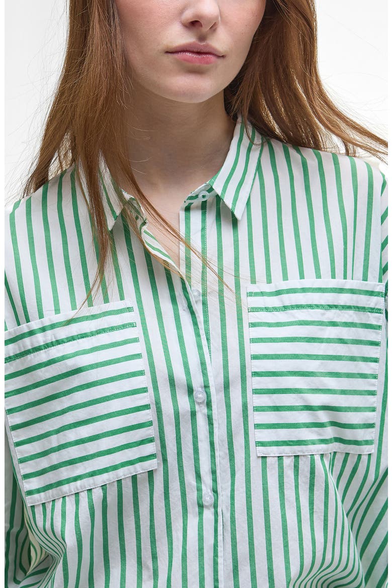 Nicola Stripe Cotton Button-Up Tunic, Alternate, color, WHITE/ KELLY GREEN