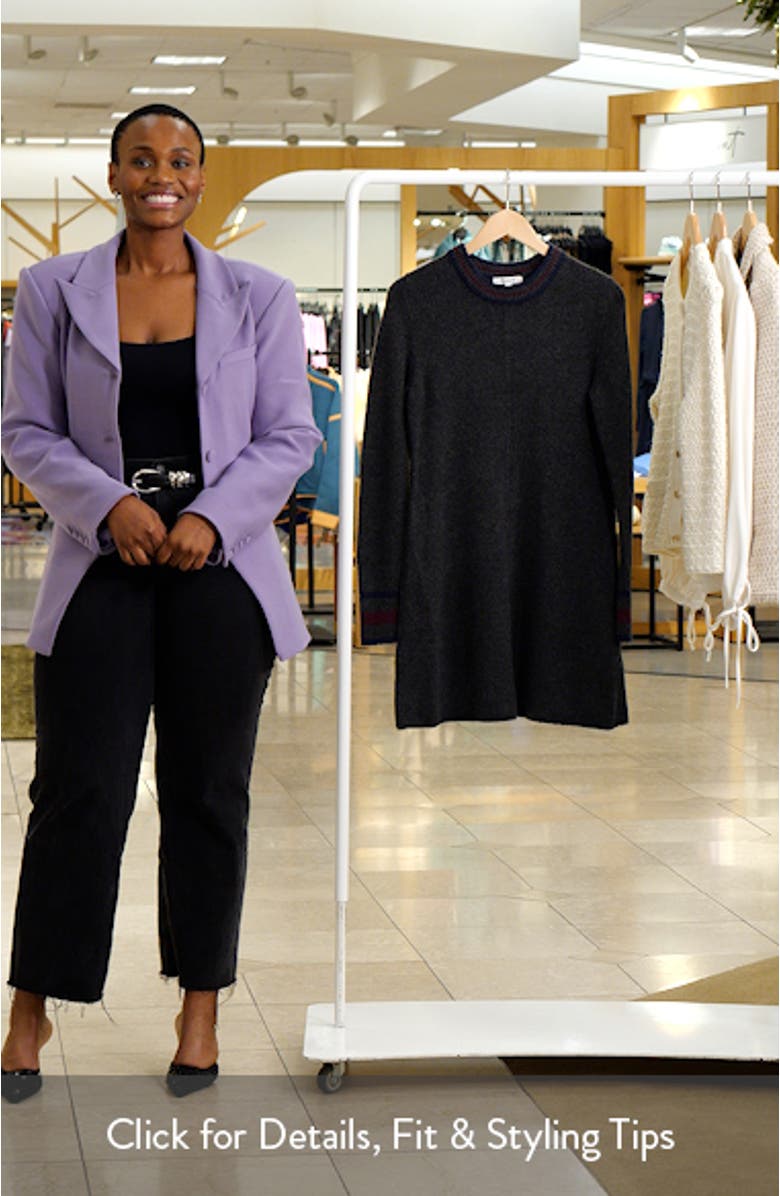 Stripe Trim Long Sleeve Sweater Minidress, sales video thumbnail