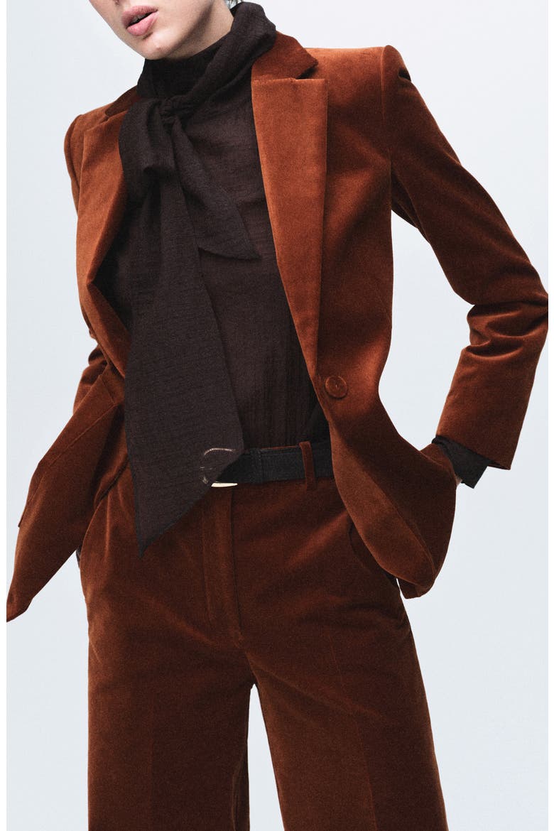 Velvet Blazer, Main, color, BURNT ORANGE