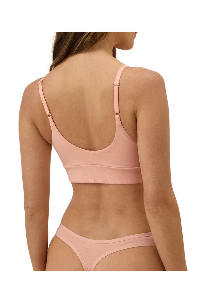 Pact Organic Cotton Everyday Mid Rise Thong 6-Pack, Main, color, Dotted Daisies