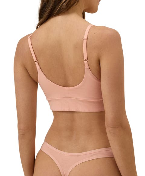 Organic Cotton Everyday Mid Rise Thong 6-Pack