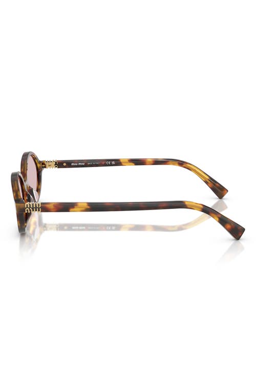 Miu Miu 50mm Oval Sunglasses In Pink Havana