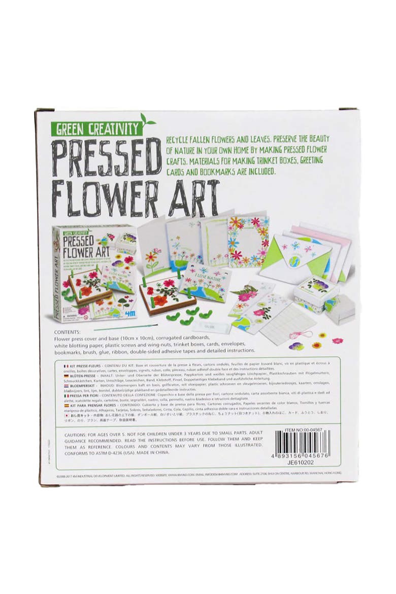 Green Creativity Pressed Flower Art Diy, Alternate, color, Multicolored