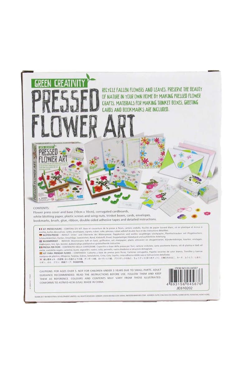 4M Green Creativity Pressed Flower Art Diy, Alternate, color, Multicolored