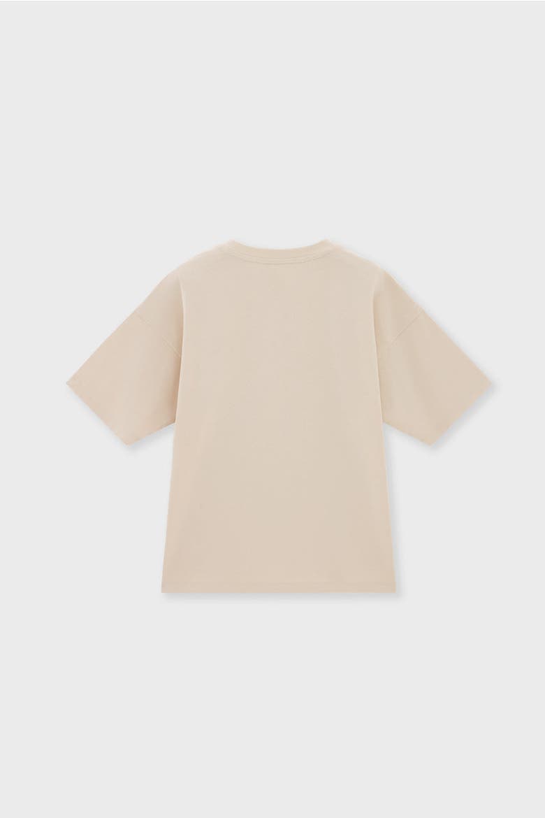 Relaxed Organic Cotton T-Shirt, Alternate, color, Stone