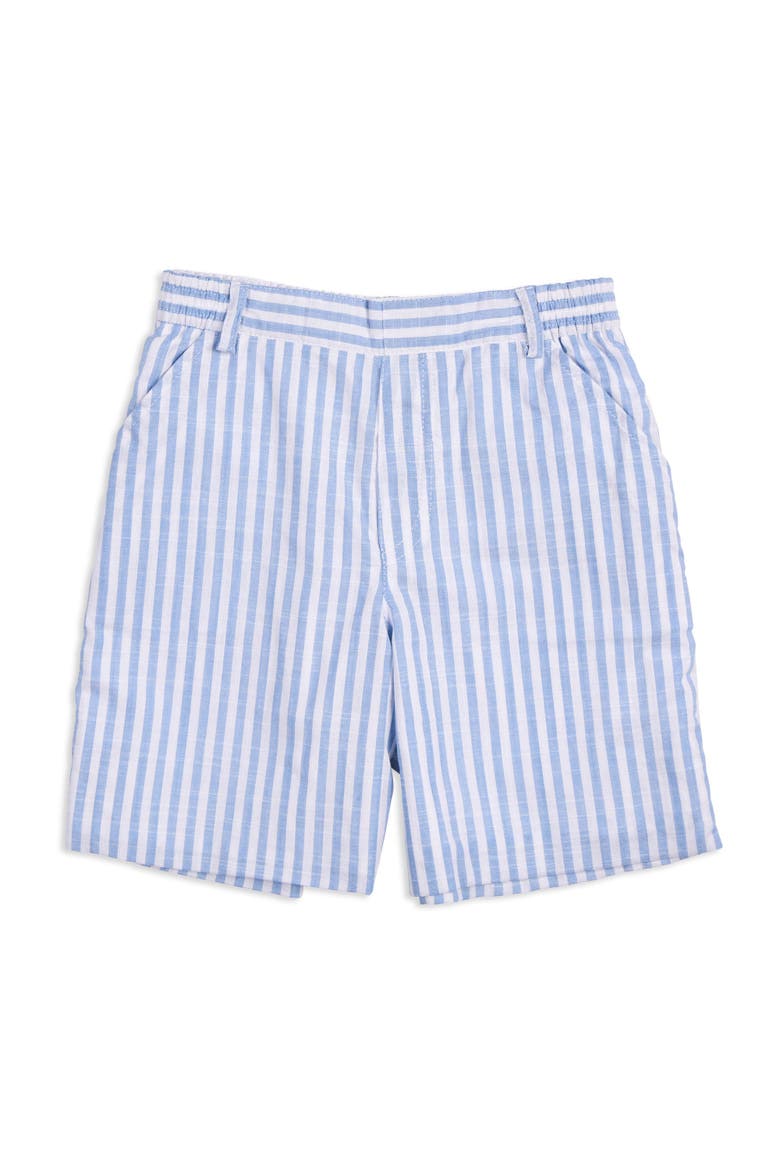 Stripe Linen Look Short, Main, color, Light Blue / White