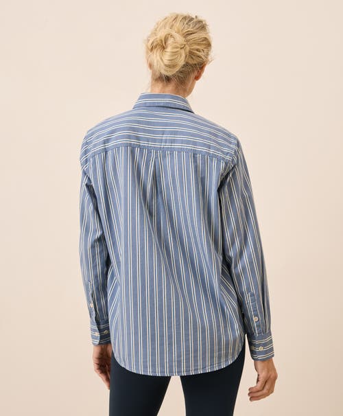 Pact Organic Cotton All Day Poplin Classic Shirt In Multi