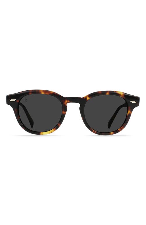 RAEN Kostin 48mm Polarized Round Sunglasses in Ristretto Tortoise/Smoke  product