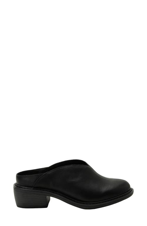 Alegria By Pg Lite Michy Mule