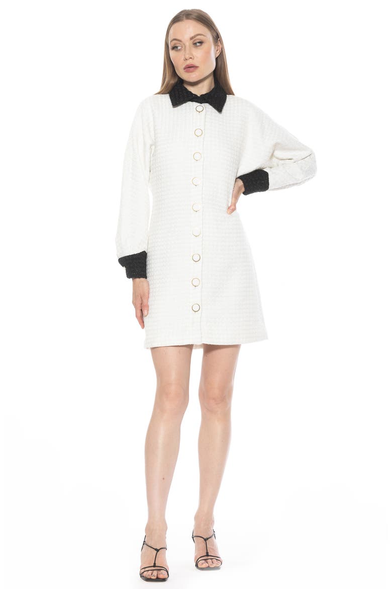 Velvette Long Sleeve Mini Tweed Shirtdress, Alternate, color, IVORY