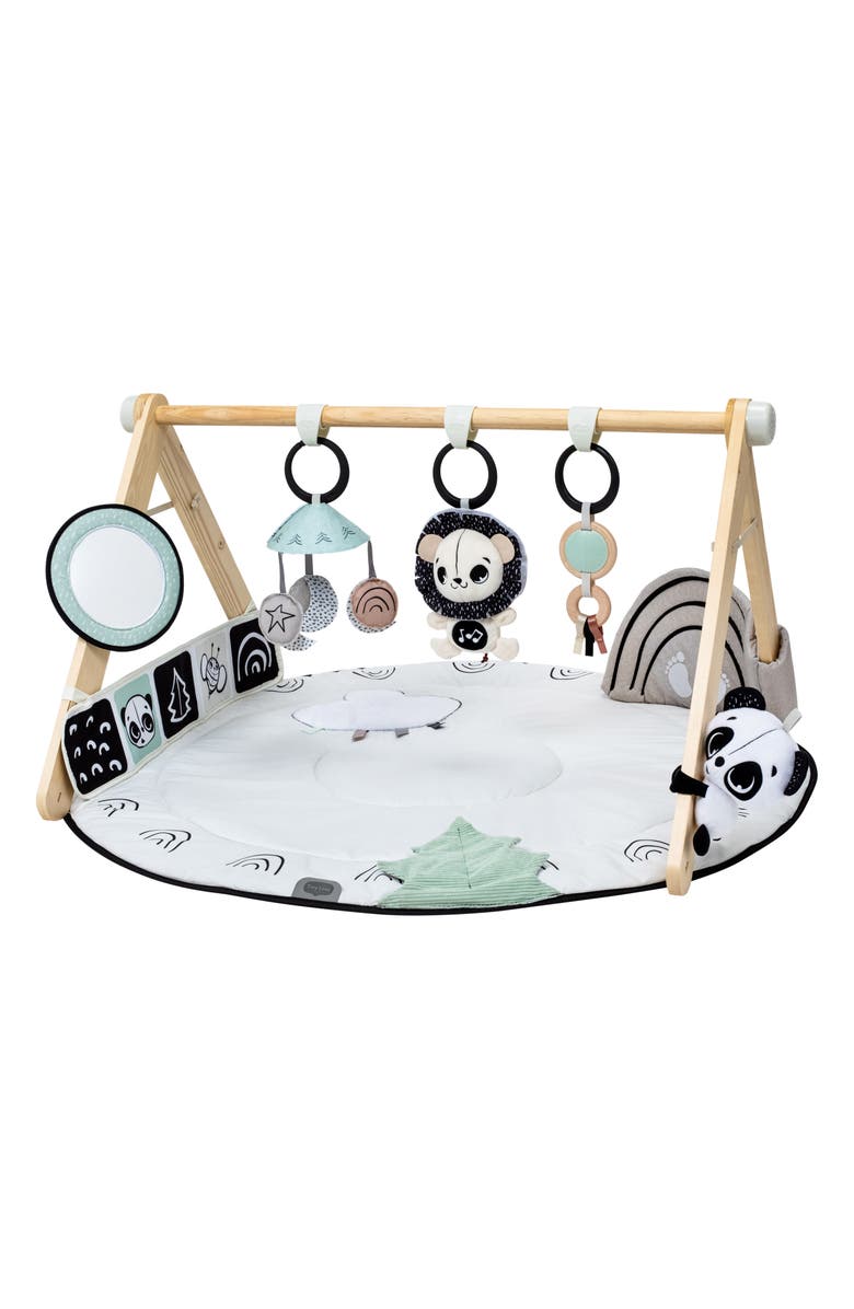 TINY LOVE Black & White Decor Collection Gymini Activity Gym, Main, color, 