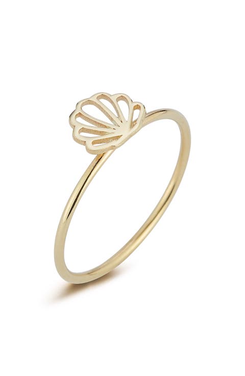 Shell Ring