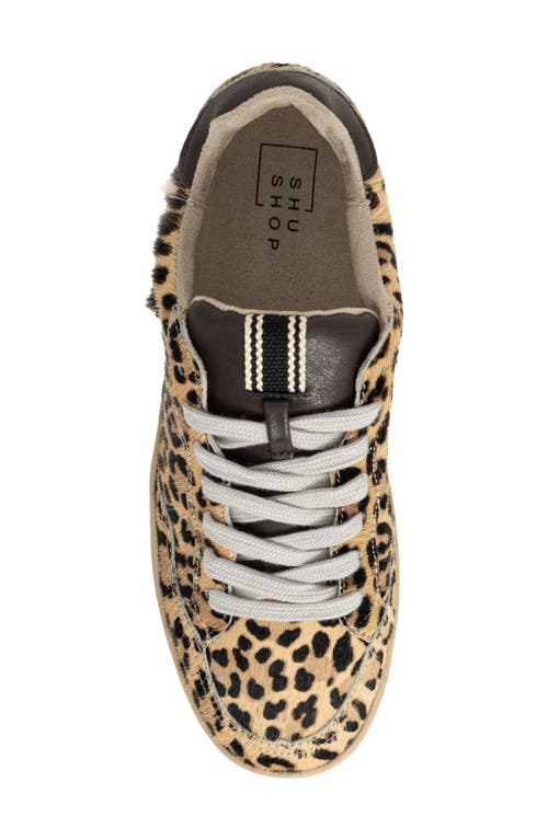 Shushop Roma Genuine Calf Hair Sneaker In Multi