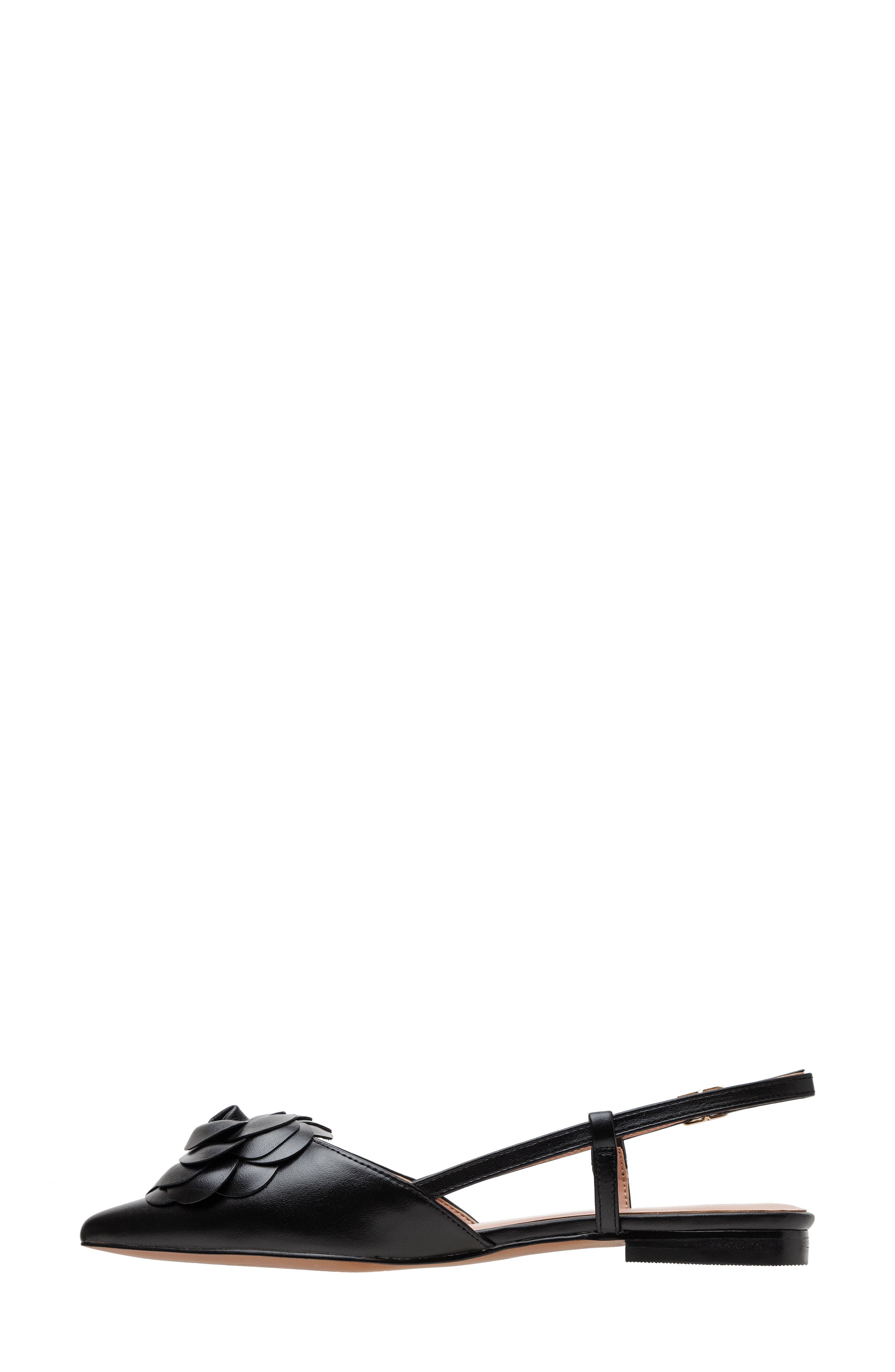 Linea Paolo Cammy Slingback Pointed Toe Flat, Alternate, color, Black Ii
