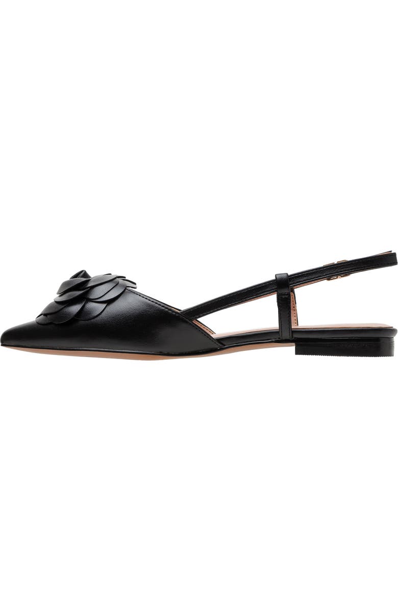 Linea Paolo Cammy Slingback Pointed Toe Flat, Alternate, color, Black Ii