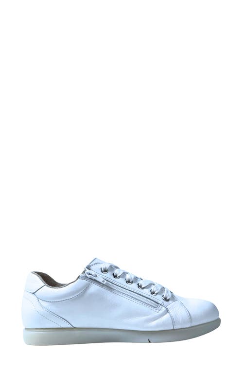 Saydo Zany Sneaker In White W/ice