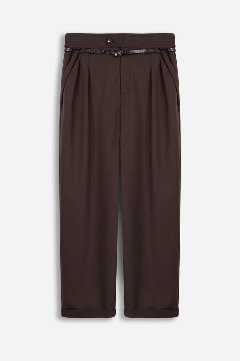 Belted Pleat Front Trousers, Main, color, Brown