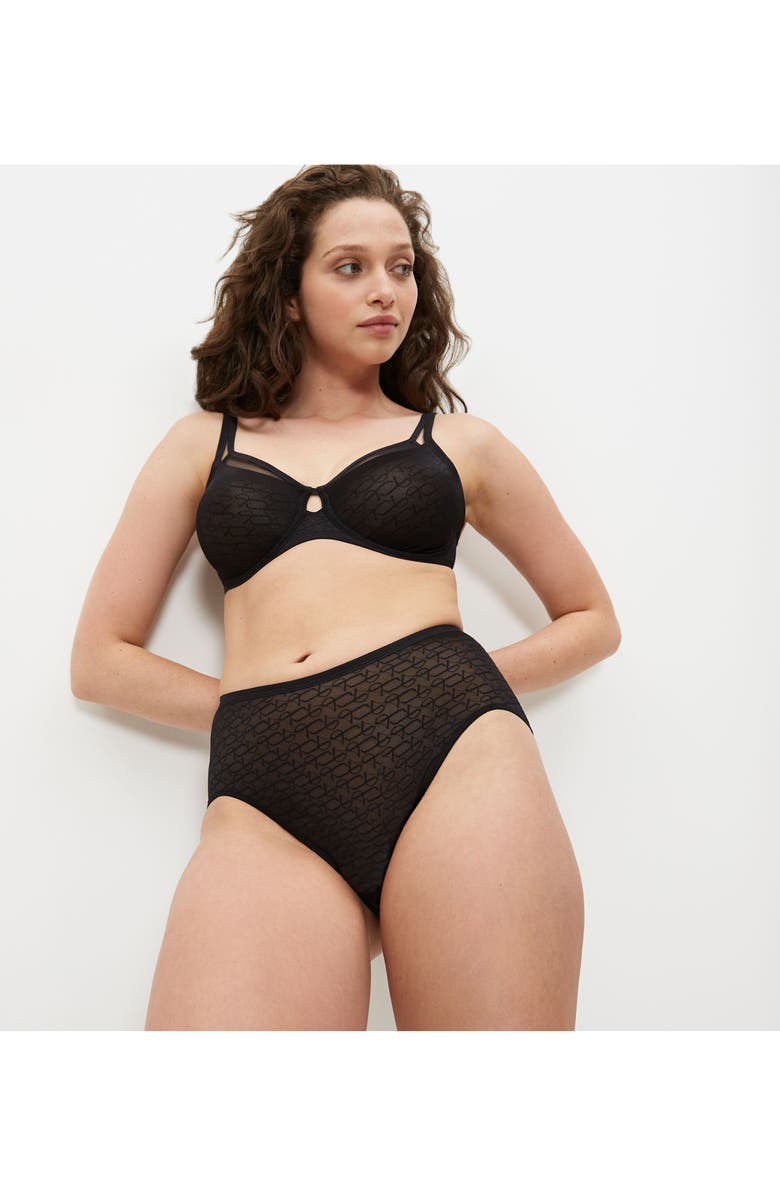 TRIUMPH Signature Sheer Brief Panties, Alternate, color, Black