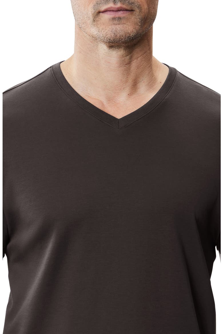 Georgia Regular Fit V-Neck T-Shirt, Alternate, color, ESPRESSO