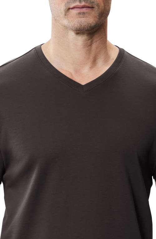 Robert Barakett Georgia Regular Fit V-neck T-shirt In Espresso