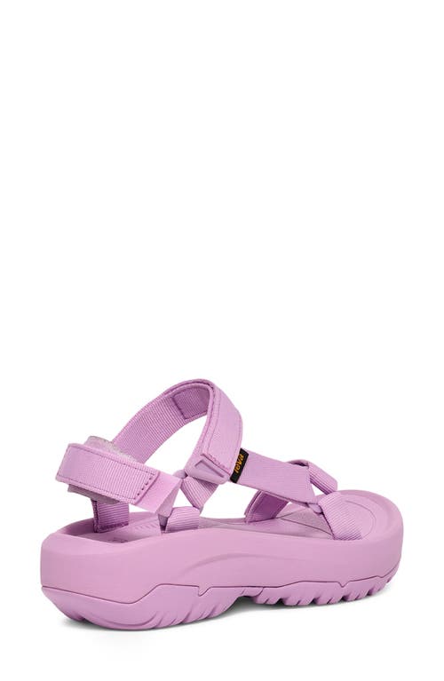 Teva Hurricane Xlt 2 Ampsole Sandal In Lupine