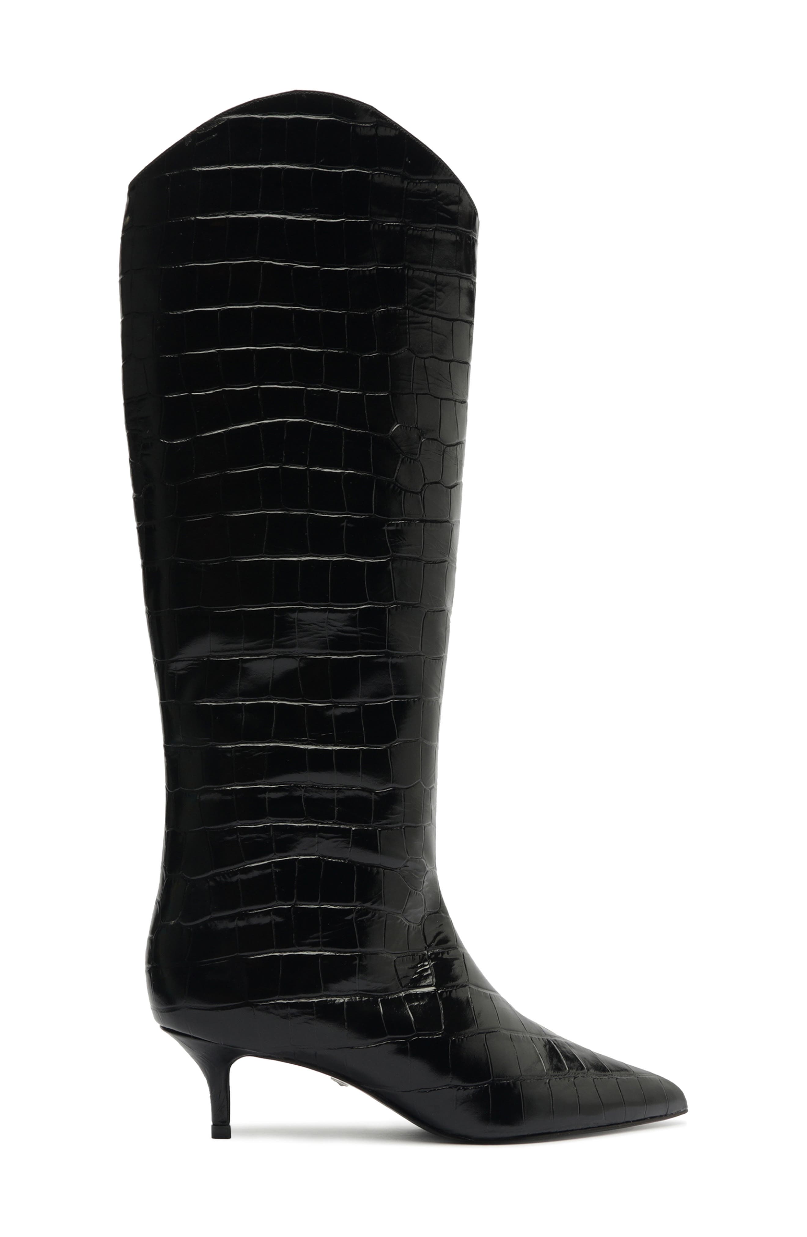 Schutz Maryana Lo Pointed Toe Knee High Boot, Alternate, color, Black