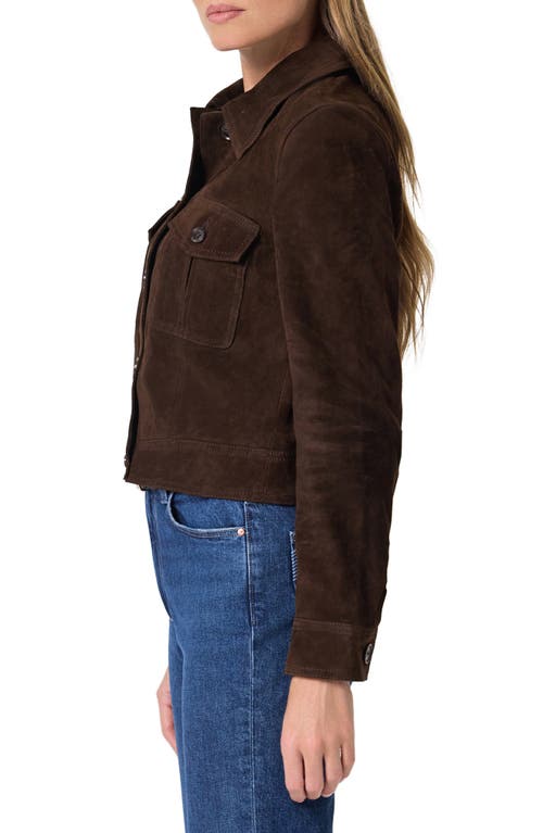 Paige Feyd Suede Jacket In Brown