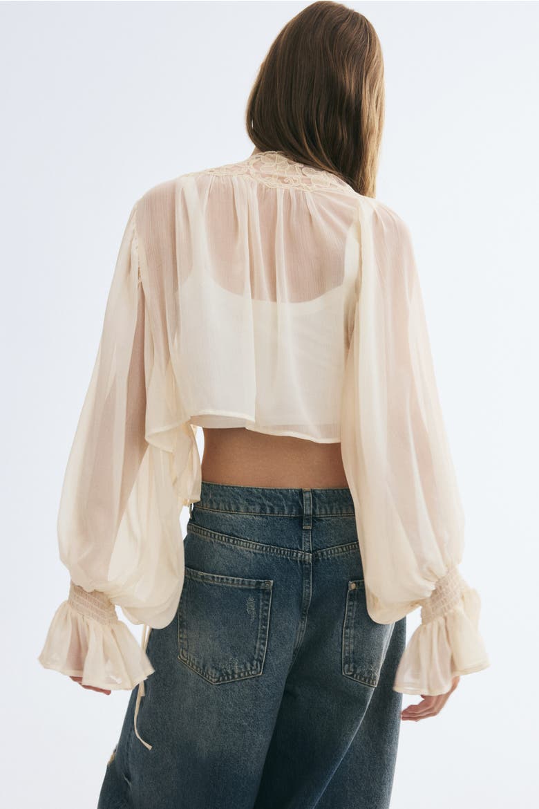Lace-Trimmed Balloon-Sleeved Blouse, Alternate, color, Pale apricot