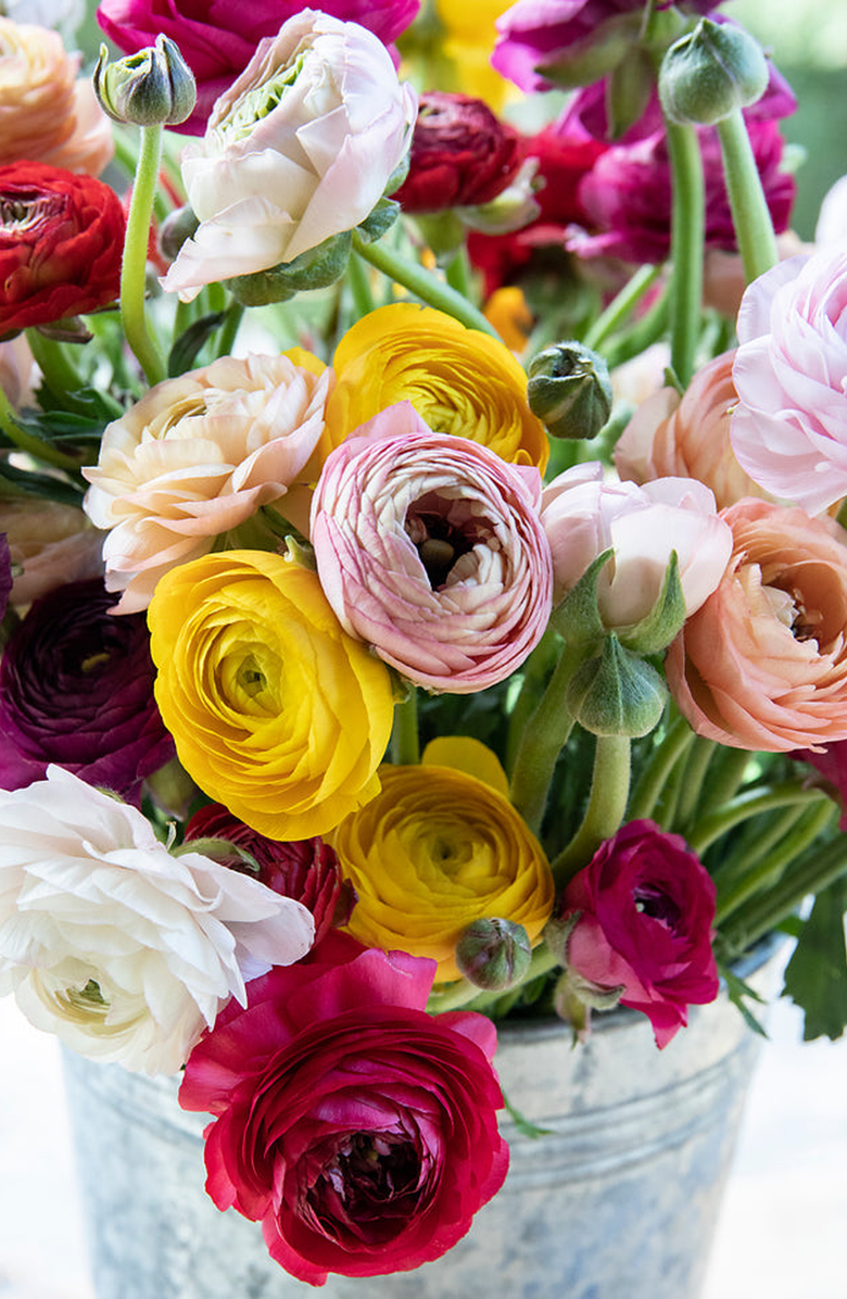 Pink Picasso Kits Petals for Me Paint by Numbers Kit, Alternate, color, Red / Yellow / White