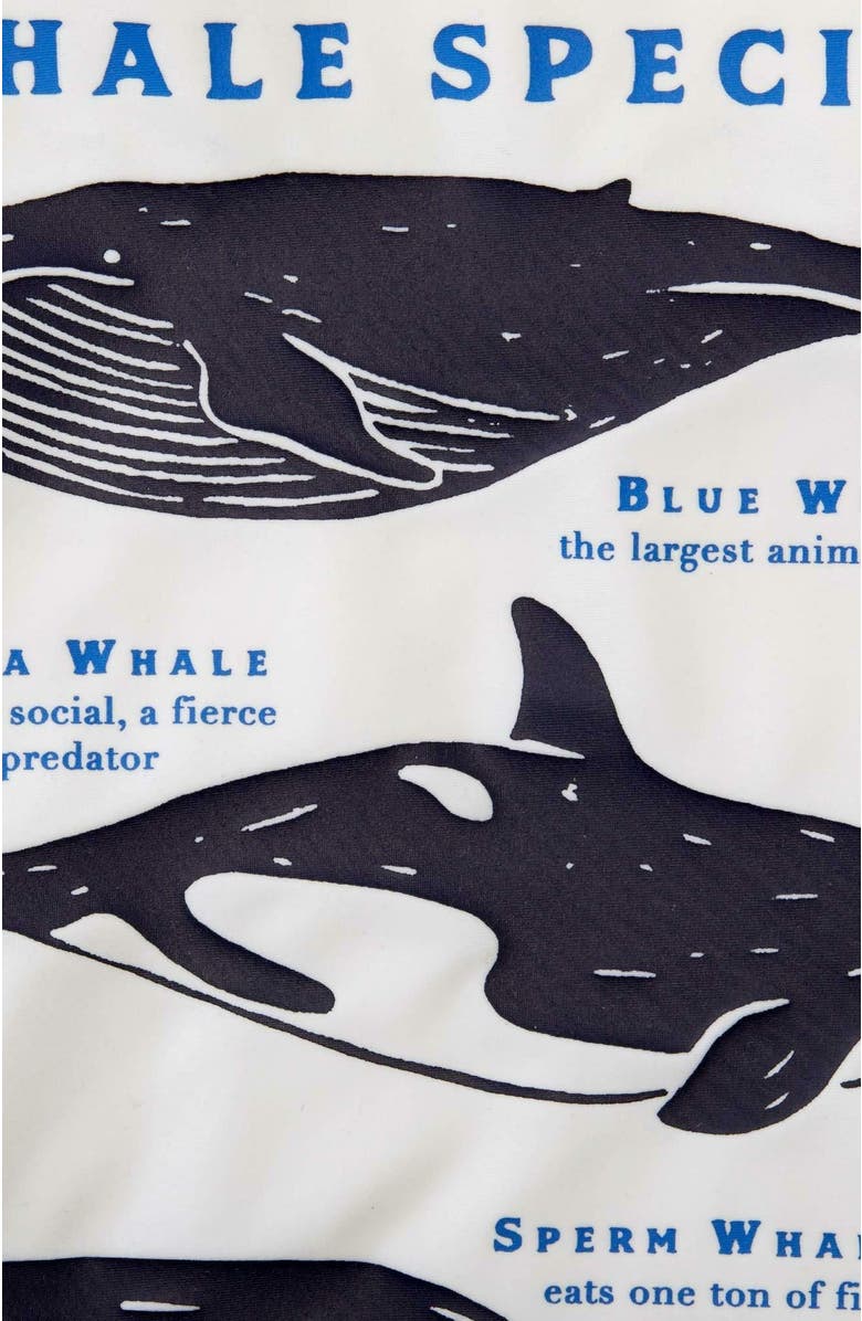 Hope & Henry Boys' Long Sleeve Rash Guard, Kids, Alternate, color, 